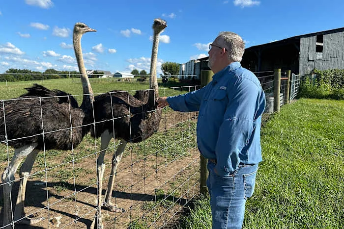 A Kentucky man with a meat allergy was craving a burger. So he got into ostrich farming