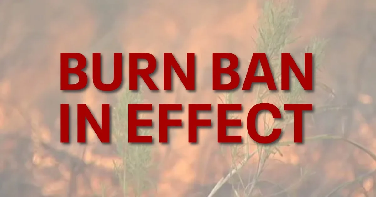 Williamson County under immediate burn ban due to drought conditions