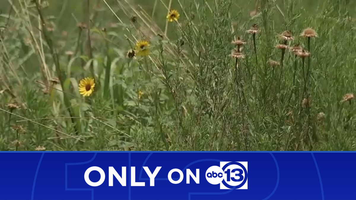 Only on 13: Group says prairies are under threat from proposed 36A North highway