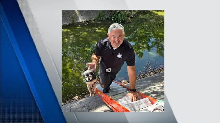 North East ISD staff rescue chihuahua from drainage ditch