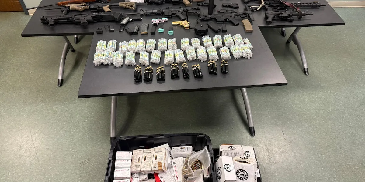 Nacogdoches police search of Waterford Drive home yields large amount of marijuana, guns