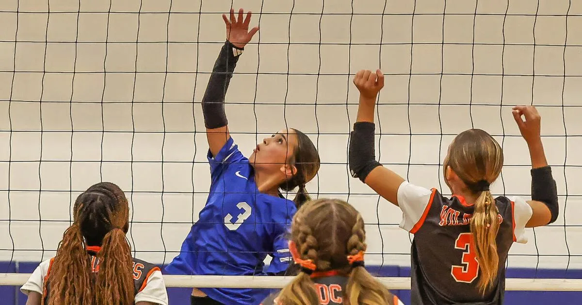 Lady Spikes split games with Medina Valley