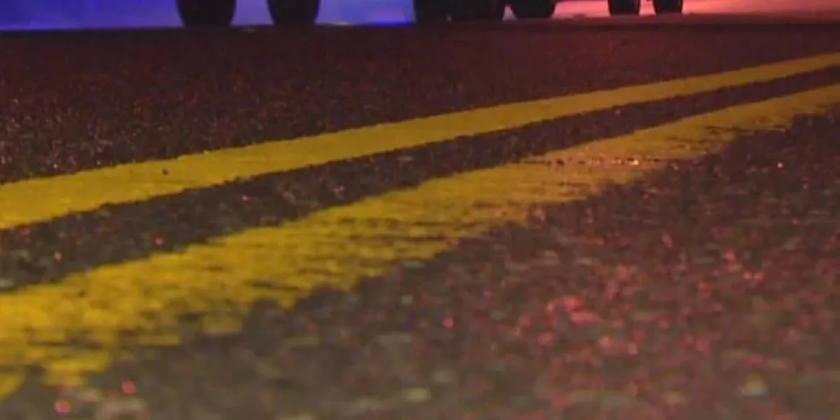 Morning crash kills 2 in Bedias
