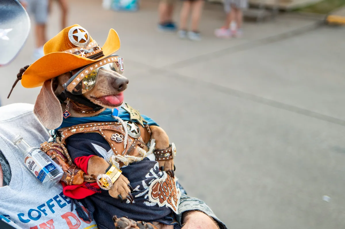 Dallas' top dog and cat names for 2026 have been revealed