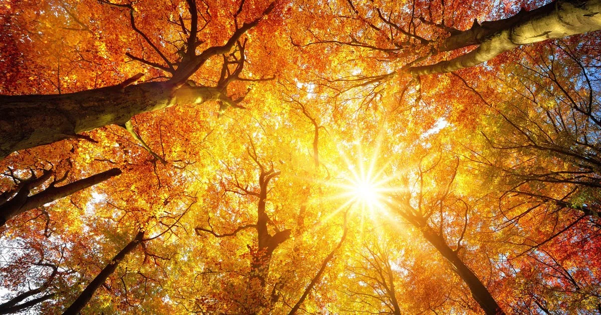 Map: Here's how much hotter fall has gotten in your county