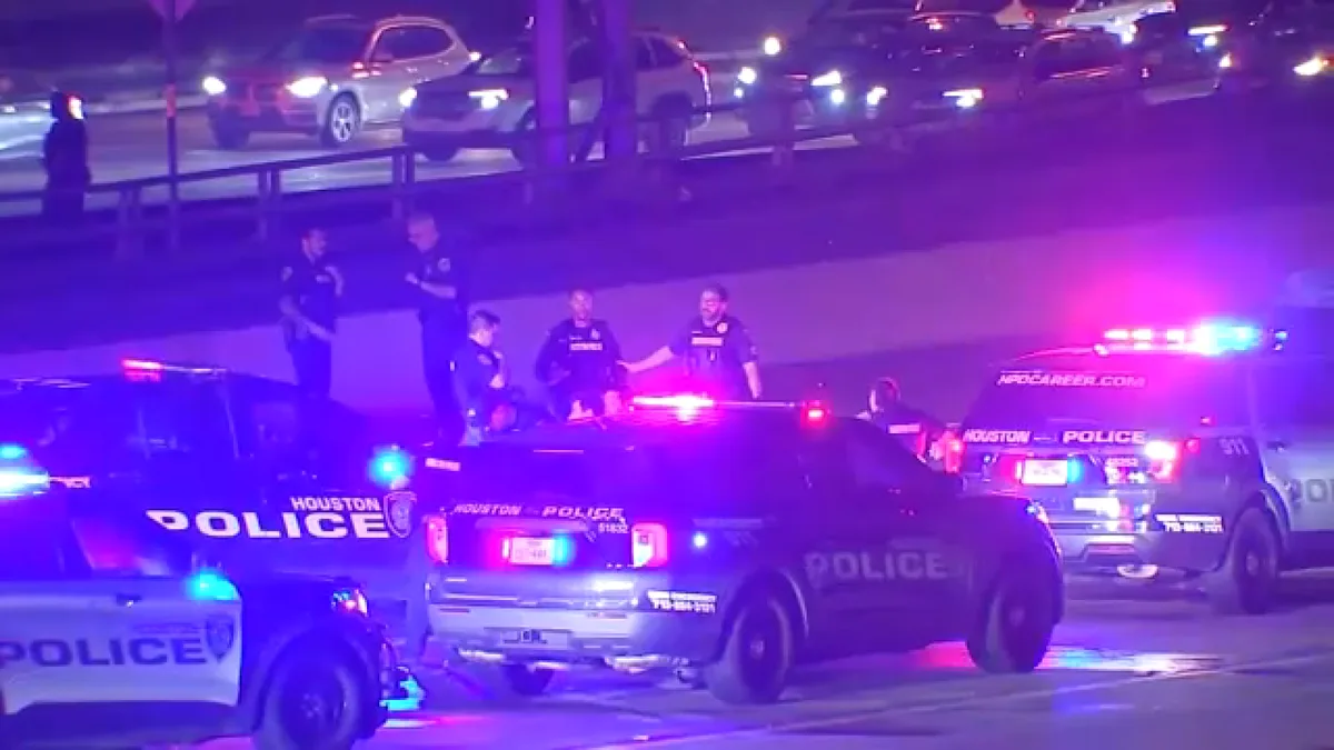 2 hit and killed while running across Southwest Freeway following police chase, crash: HPD