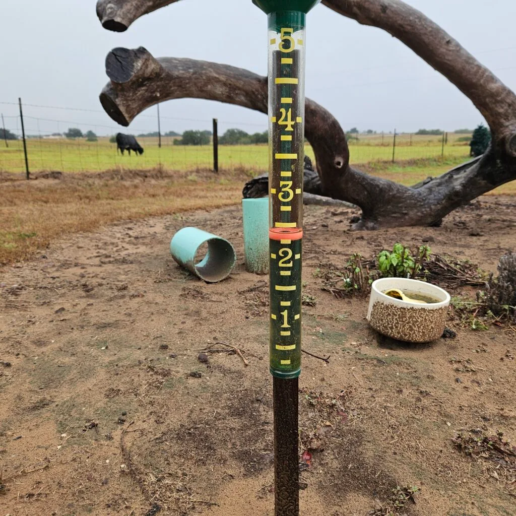 What's in your rain gauge?