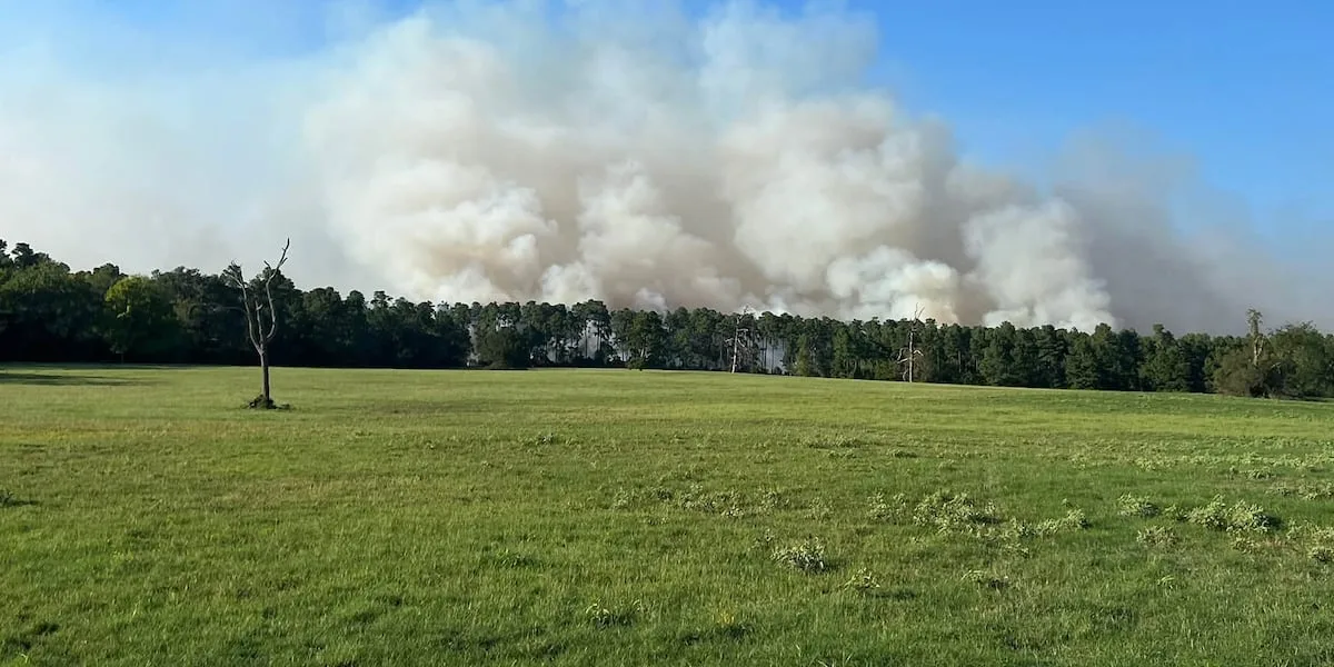 1,314 acre wildfire in Davy Crockett National Forest 100% contained