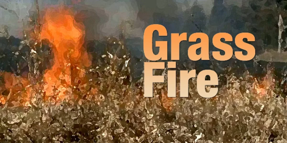 Grass fire breaks out on Interstate 20 in Smith County