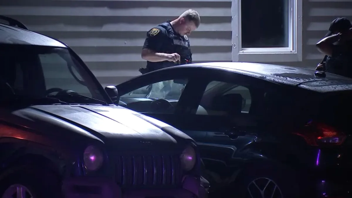 Woman pistol-whipped during attempted carjacking struggle in Third Ward, HPD says