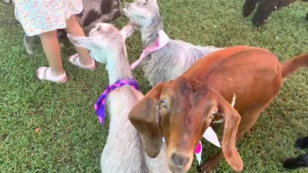 After hiring company with infected goats, NC mother speaks out about exposure