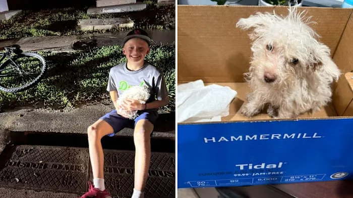 'Young hero': Boy saves puppy trapped in Cypress storm drain