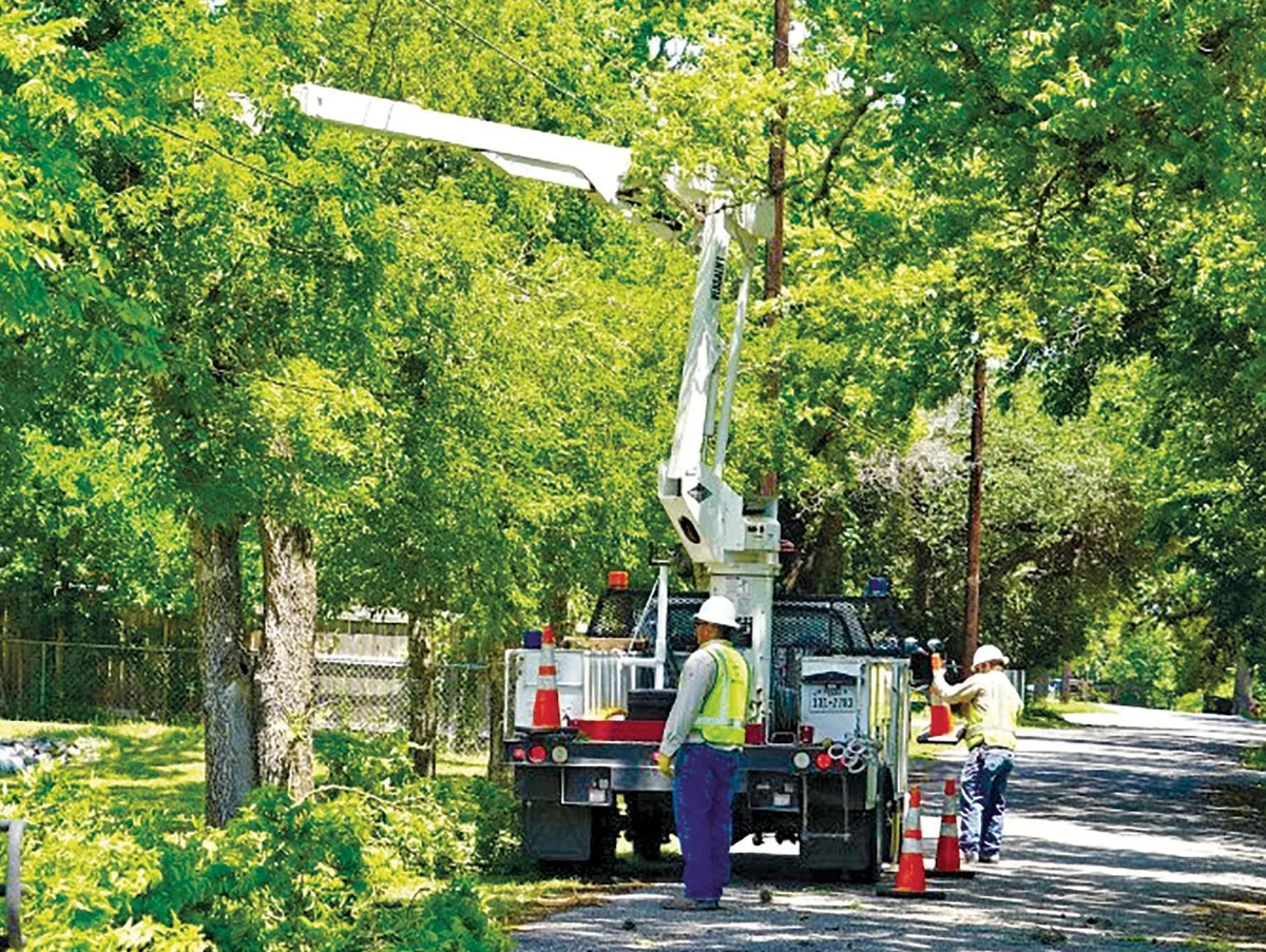 City tree trimming effort underway