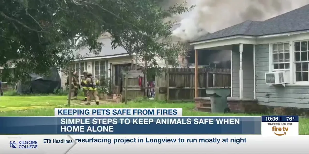 Pet fire safety: How to protect your animals from house fires