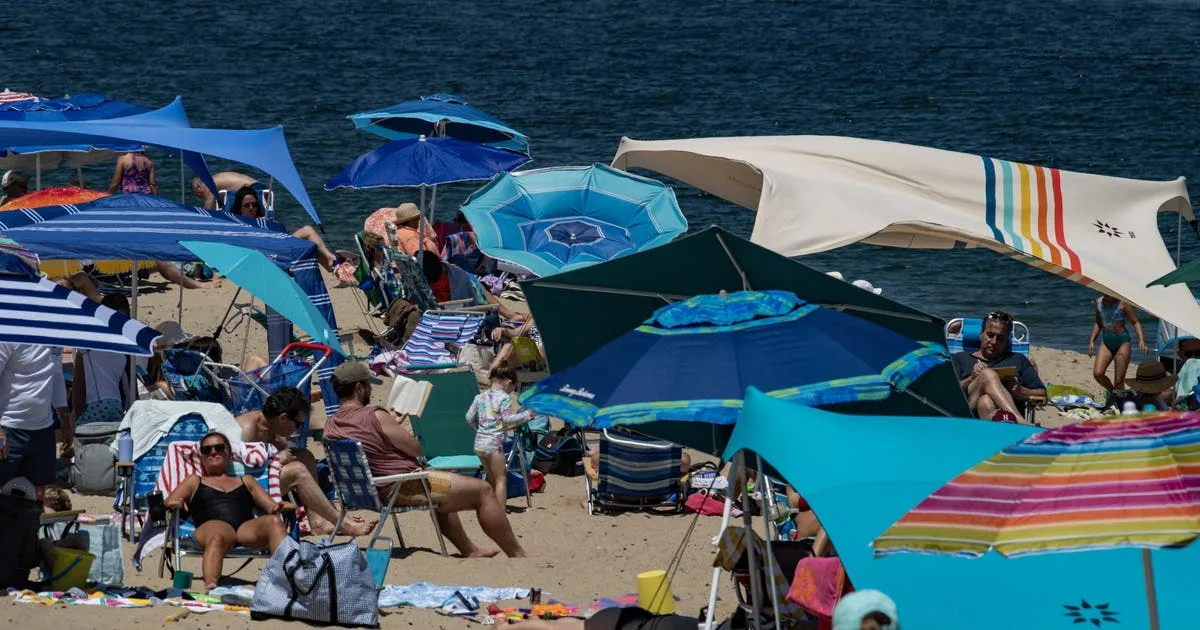 How a booming coastal escape learned to coexist with the ocean's top predator