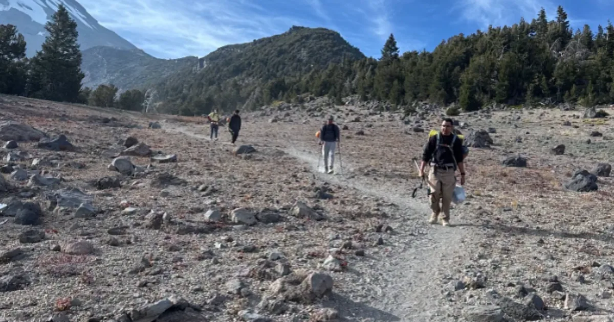 Hikers who used AI to plan trip had to be rescued, authorities say