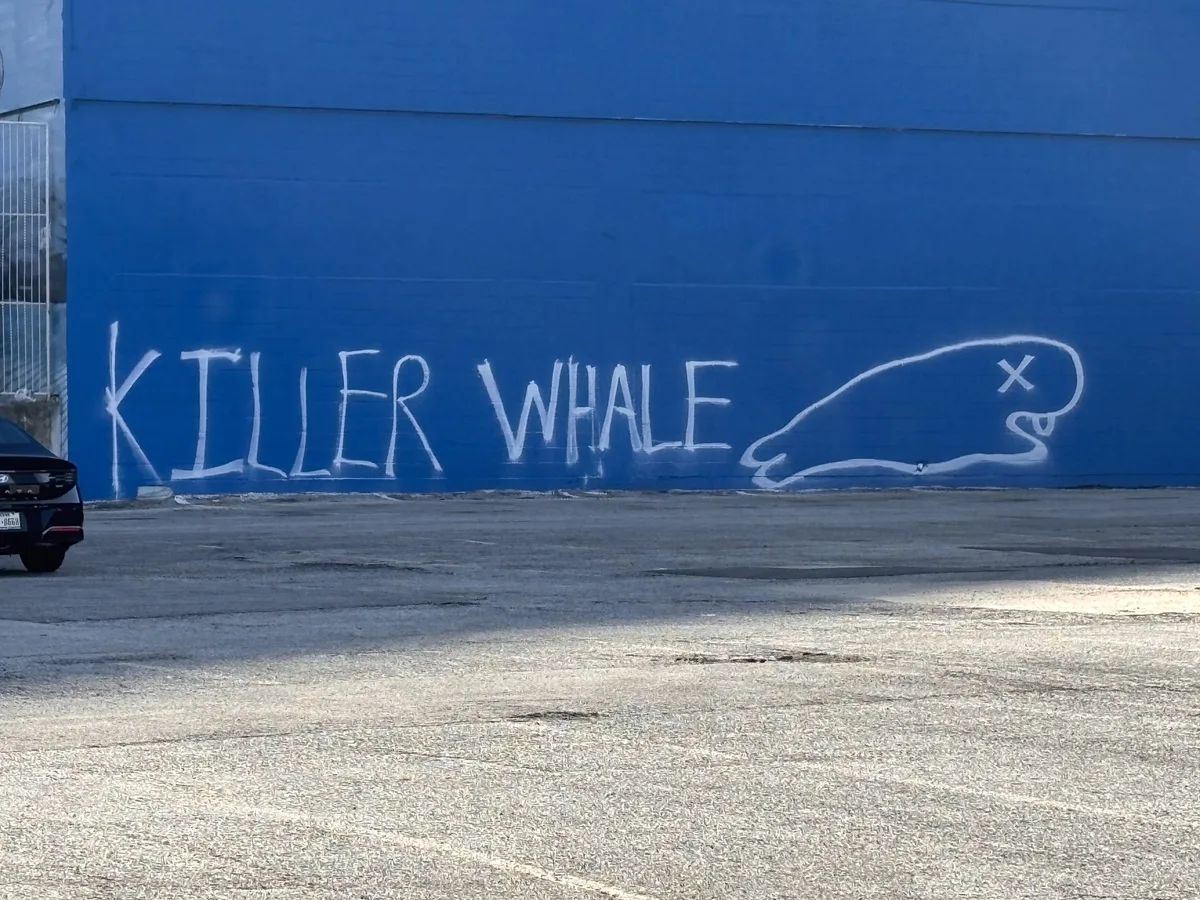 Dallas Whaling Wall has new whale artwork