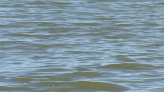 Emergency crews to resume water search at Benbrook Lake for missing 62-year-old man