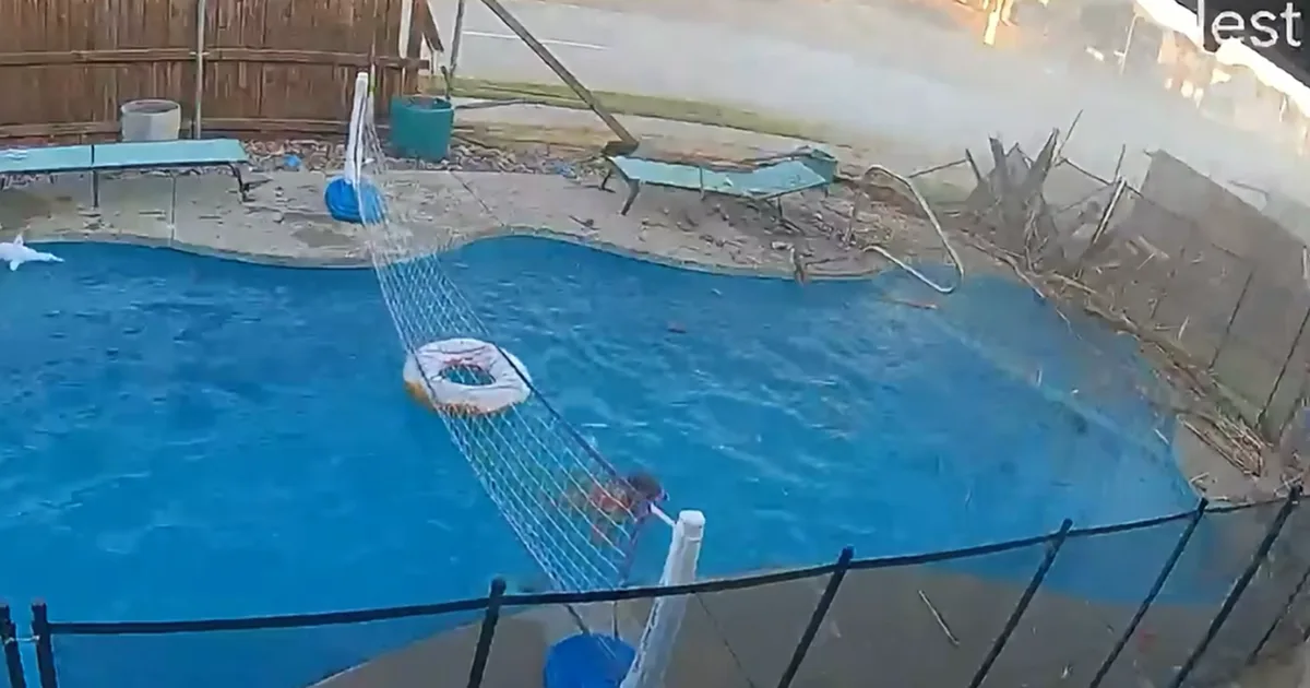 Video shows car crashing through Fort Worth backyard fence, narrowly missing toddler in pool