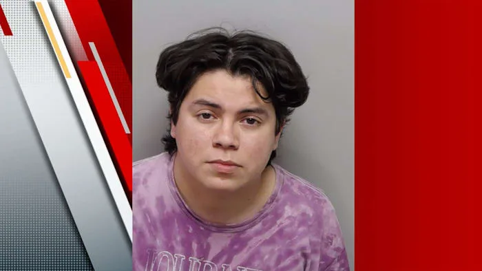 BCSO: Man crashes into K-9 unit, arrested on DWI charges