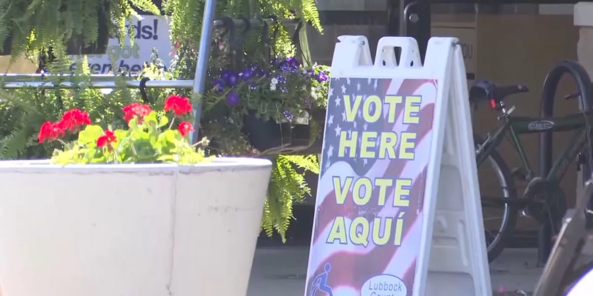 Technical error causes major Texas voter registration backlog