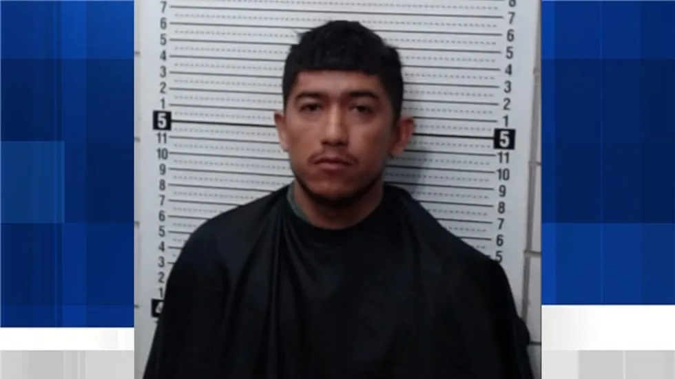 Sherman man arrested after allegedly assaulting officer during DWI stop