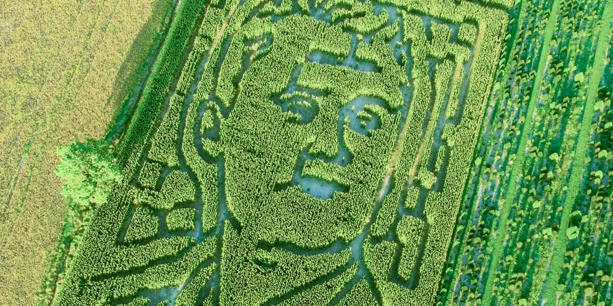 Farm features Charlie Kirk in corn maze. Here's how the business responded to criticism