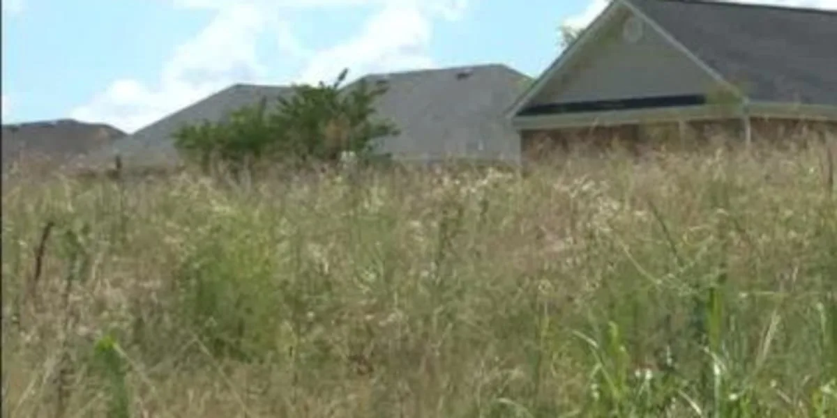 Laredo residents raise concerns over overgrown properties