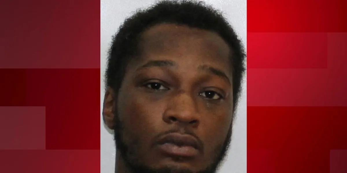 Dog dies after man allegedly attacks it with machete, tries to strike woman