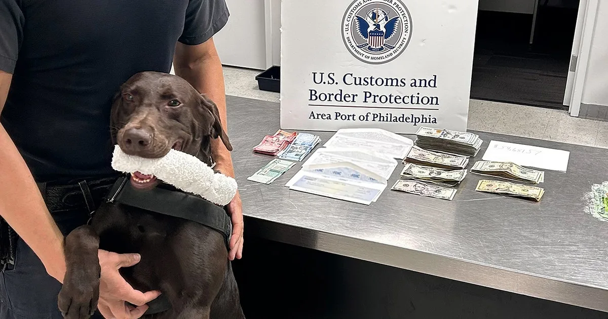 K9 alert leads to $19,000 cash seizure from Dominican Republic-bound travelers in Philadelphia