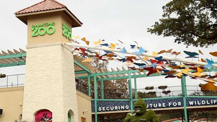 San Antonio Zoo named one of best zoos in world by Cond Nast Traveler
