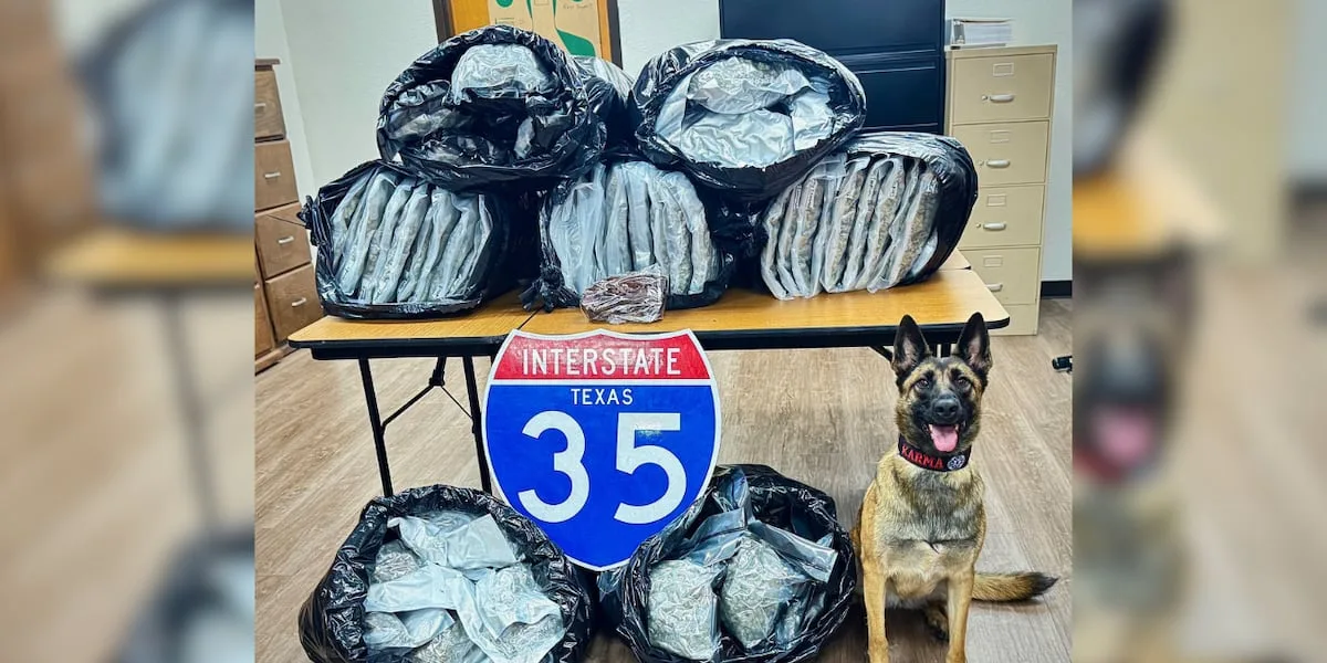 K-9 'Karma' helps troopers seize 133 pounds of marijuana and thousands in cash during traffic stop