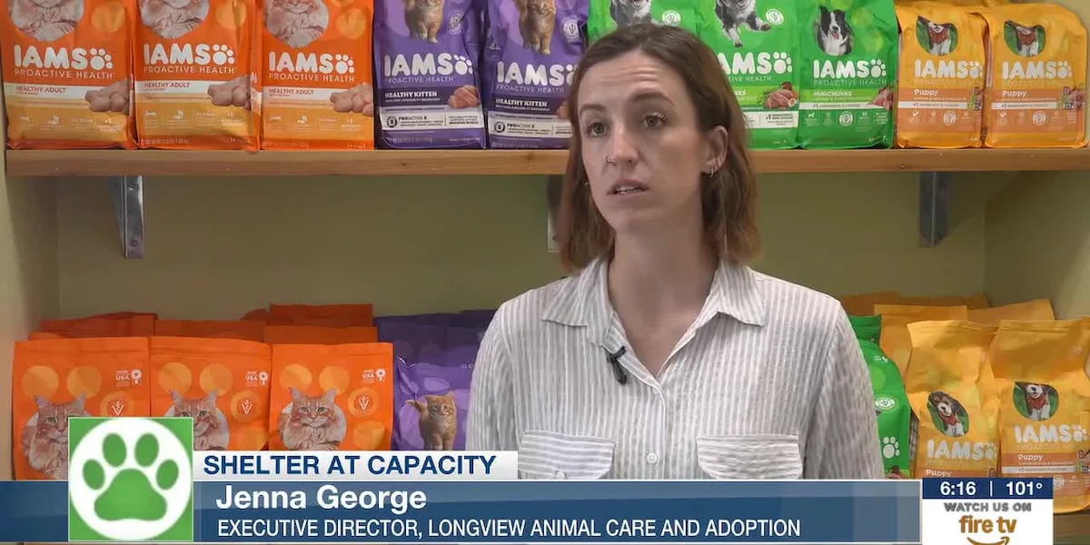 Clear the Shelters: East Texas animal shelters look to lessen intake