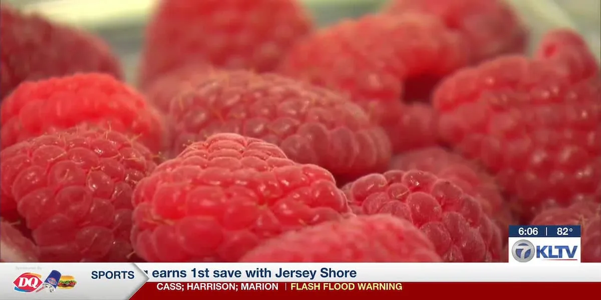 Cyclospora cases climbing in Texas, across U.S.; doctors share prevention steps