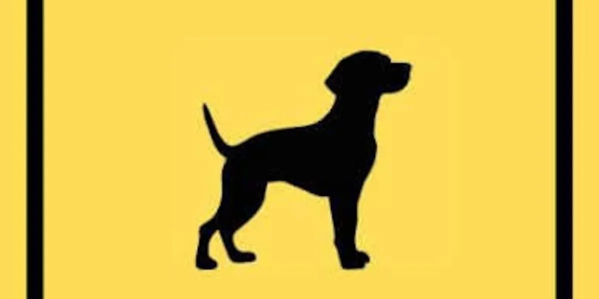 Terrell County Sheriff's Office warns of aggressive dog near 3rd and Richard streets