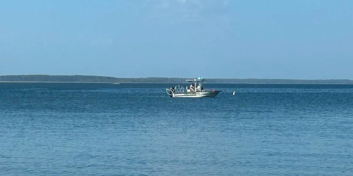Search underway for missing swimmer at Sam Rayburn