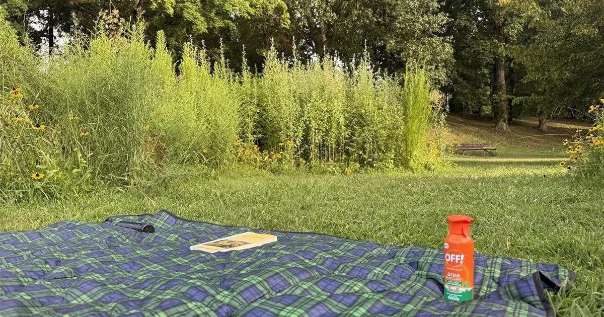 Make the most of summer: How area repellents and a few simple habits can help keep mosquitoes from ruining the moment