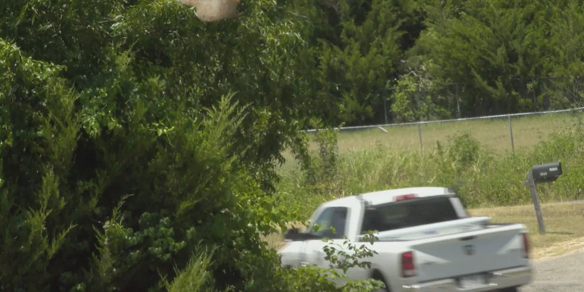 Grayson County streamlines speed limit, stop sign changes on county roads