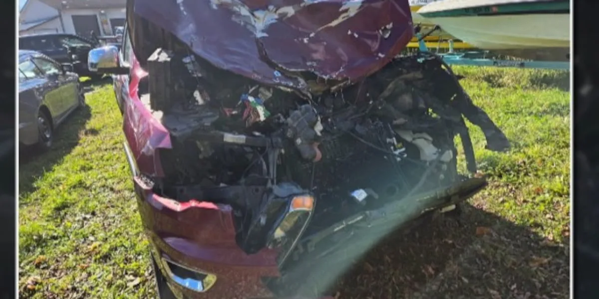 'We're lucky to be alive': Women recount slamming head-on into water buffalo at 52 mph