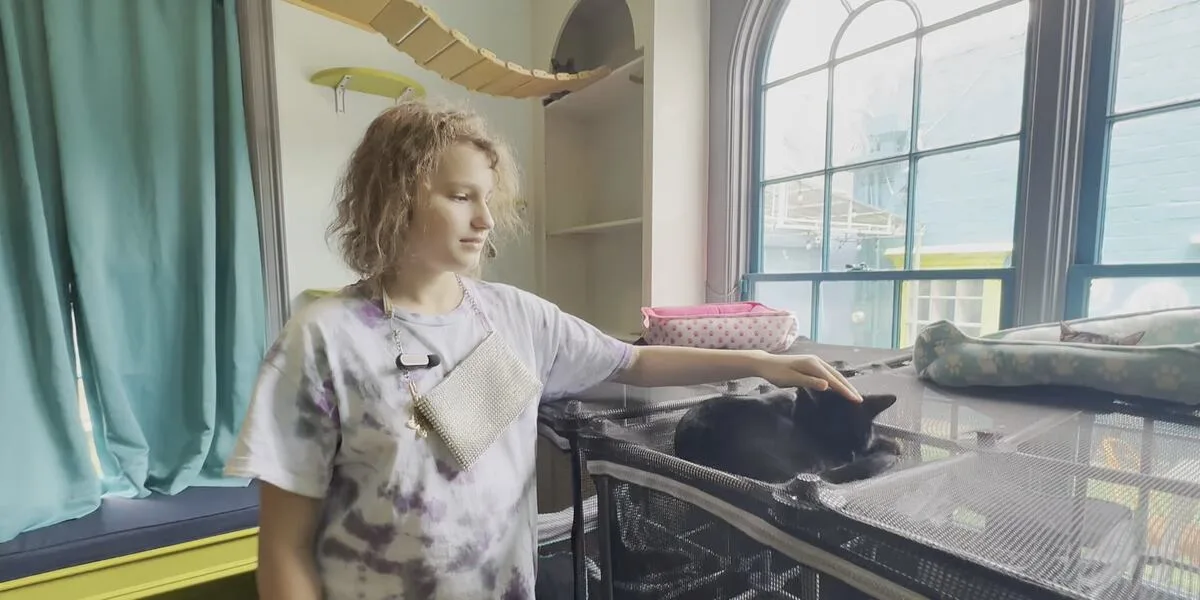 FINDING FAMILY: 13-year-old Evelyn hopes to find a home - and bring her cats along