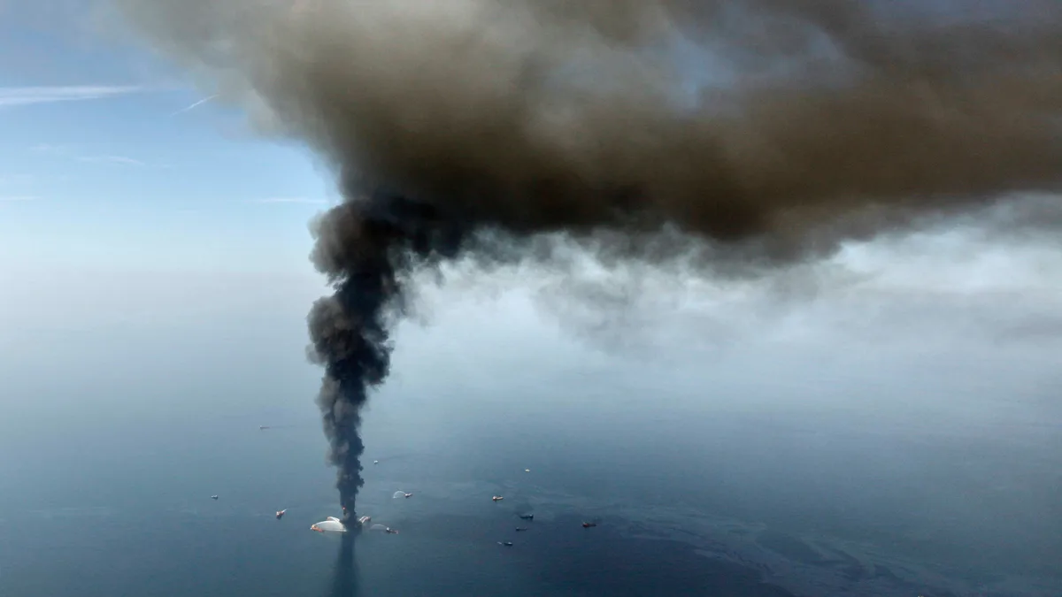 Marine life dramatically declined in the Gulf in years after BP oil spill, study finds