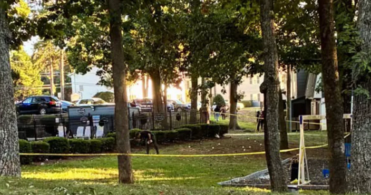 68-year-old woman fatally struck by stray bullet while sitting on porch