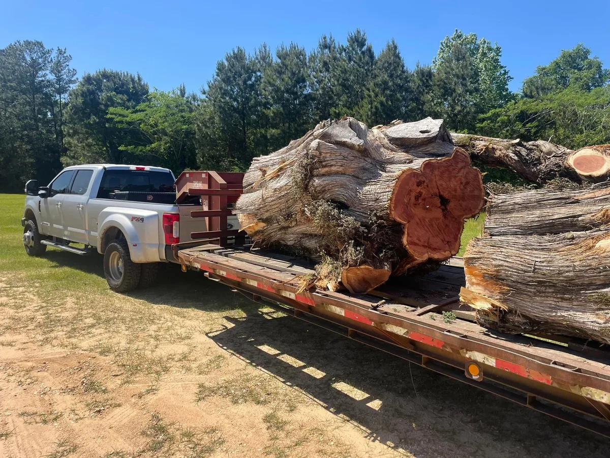 Geddie Tree & Land Services Expands Tree Service Coverage Across South Mississippi