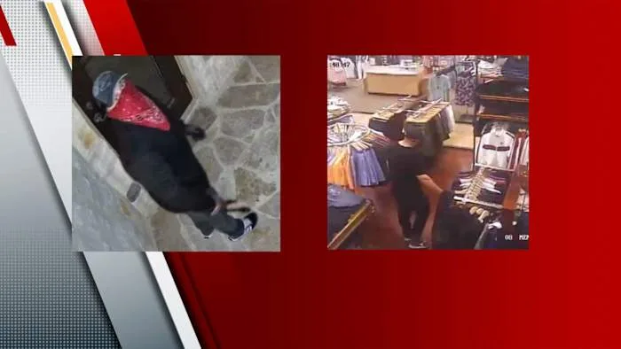 SAPD: Serial burglar accused of stealing 'millions of dollars' worth of items from Stone Oak homes