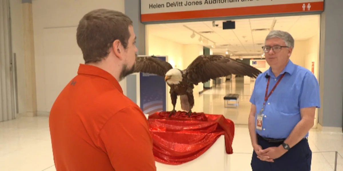 Museum at Texas Tech celebrating 250 years of America with community curated exhibit