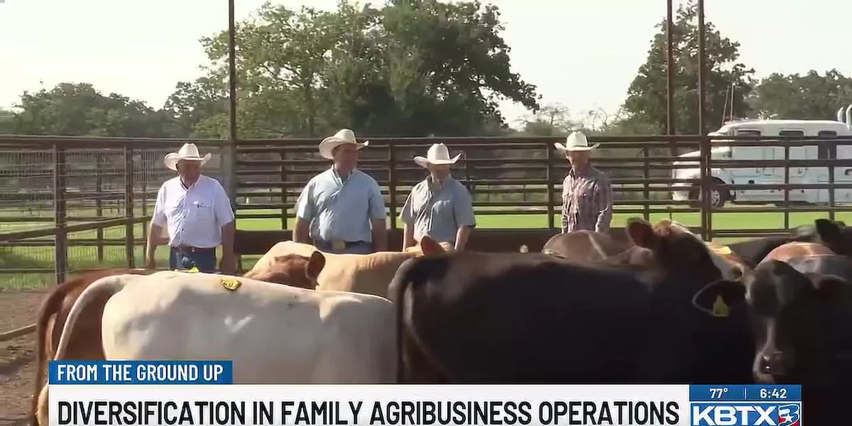 From the Ground Up: Diversification in family agribusiness operations