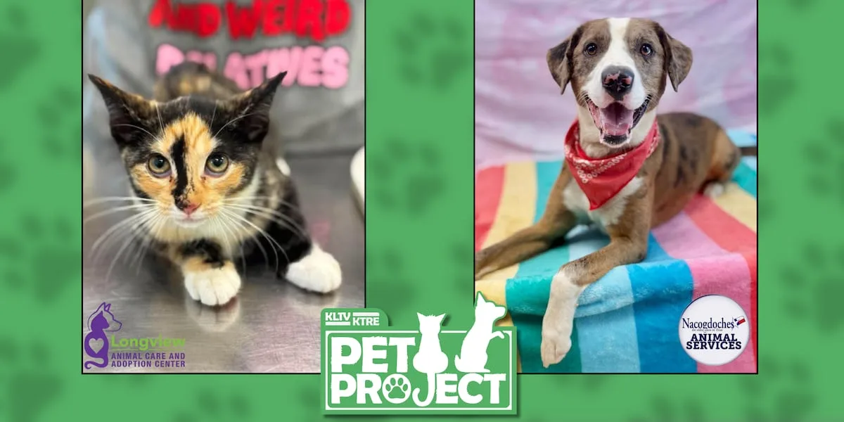 East Texas shelters kick off month-long specials in Clear the Shelters adoption effort