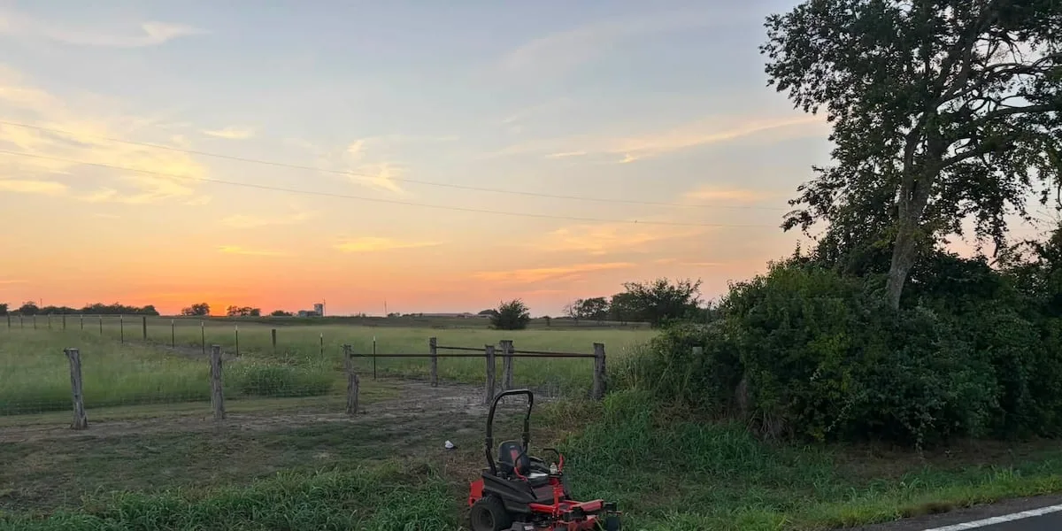 Man airlifted after severe bee attack along Washington County highway