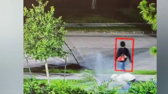 Thieves caught on camera stealing backflow preventers from Kingwood businesses, cost thousands in repairs