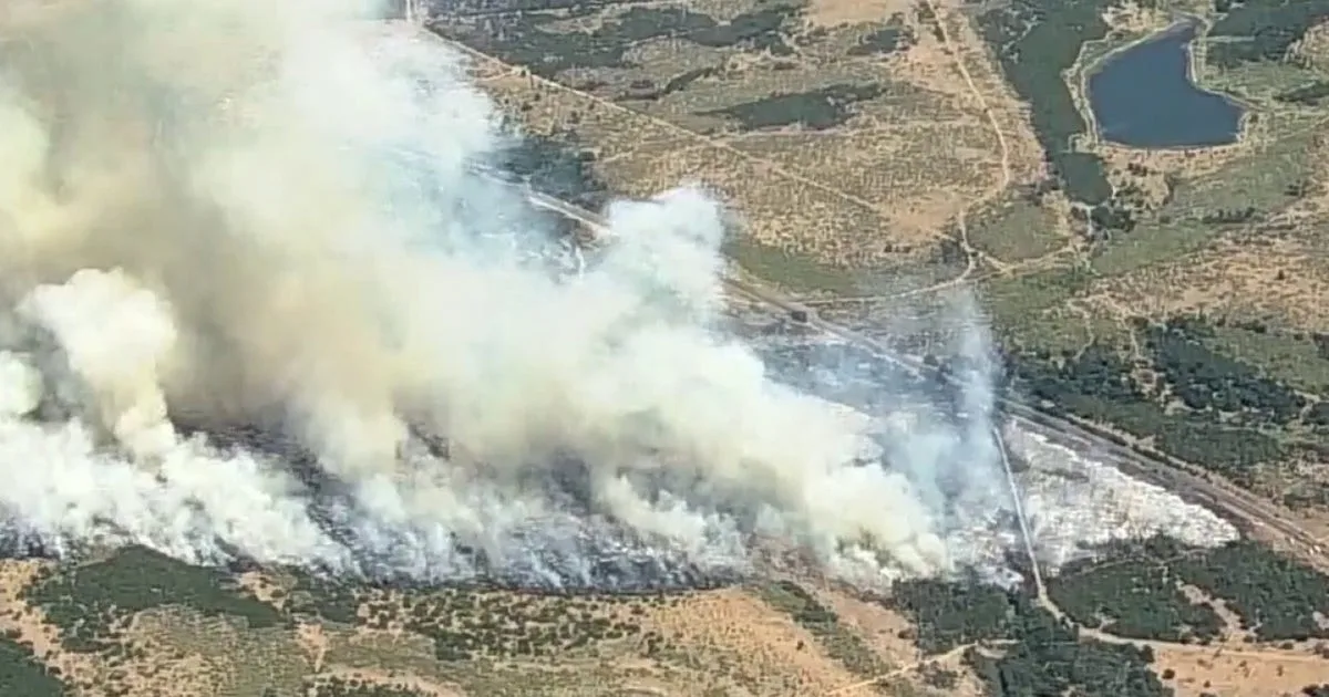 Travis County Commissioner's Court speaks on wildfire mitigation